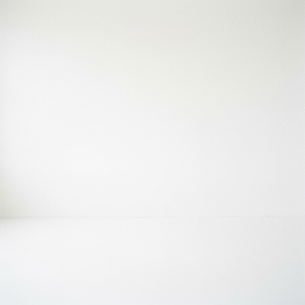 Nearly blank white background with a faint horizontal surface line